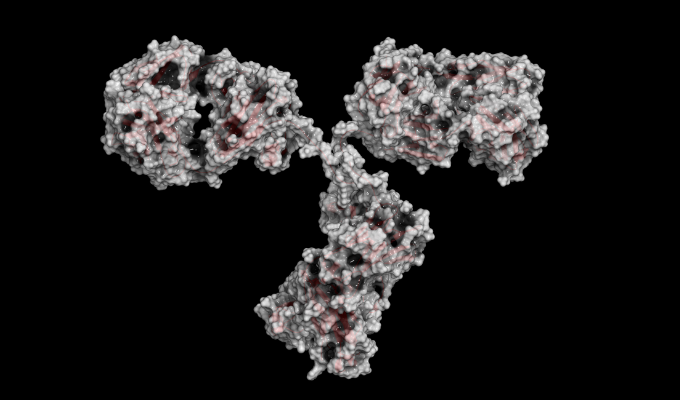 Simulação 3D de um anticorpo monoclonal