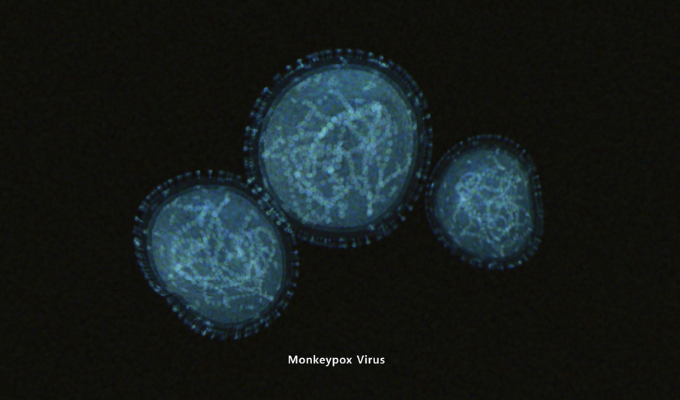 Ilustração do vírus da varíola do macaco