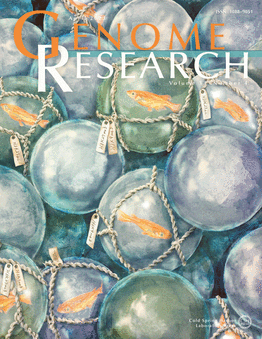 Terapia gênica: capa do periódico Genome Research