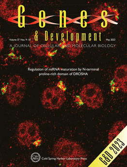Terapia gênica: capa do periódico Genes & Development