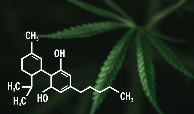 Psicoativos: ilustração da fórmula química da cannabis com as folhas da erva de fundo